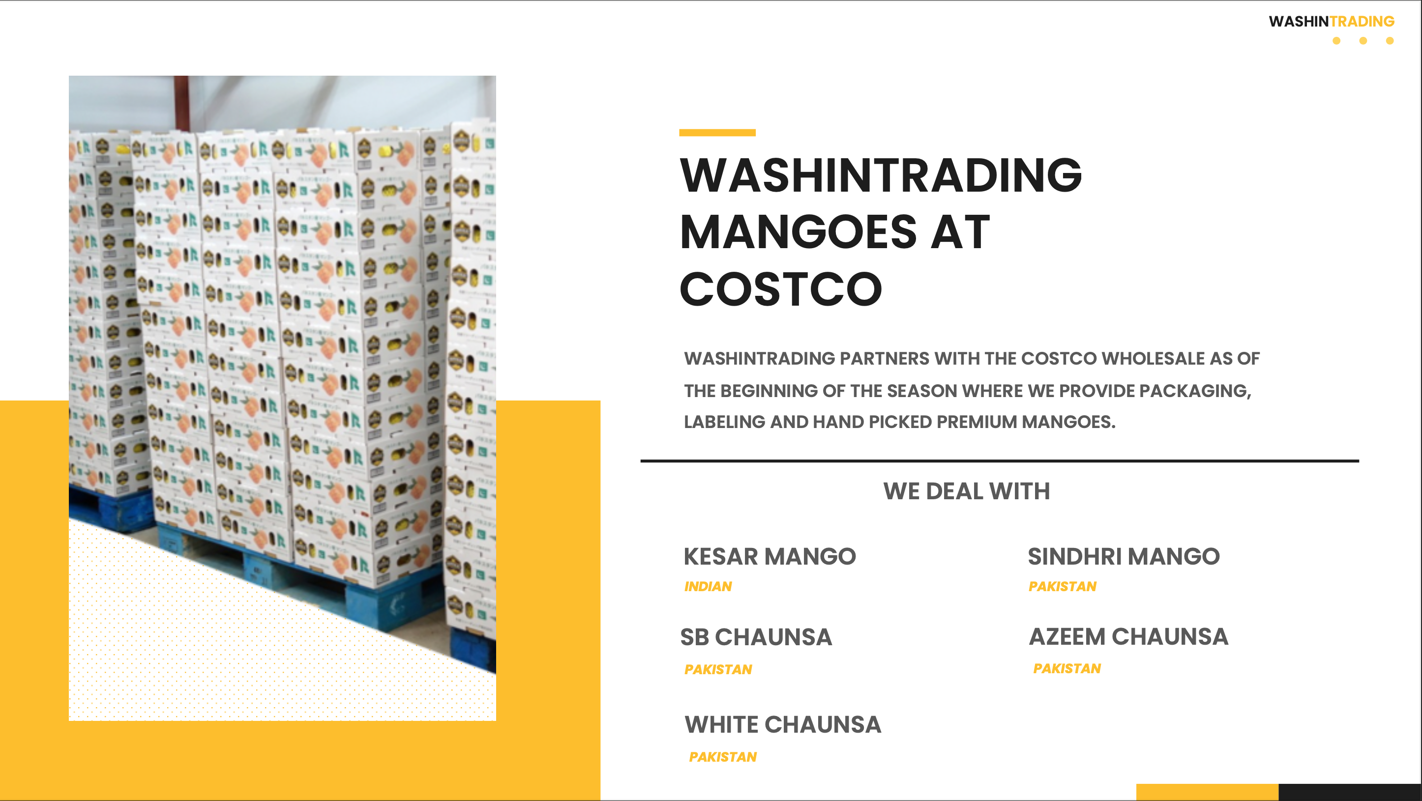 washin trading company profile page 1